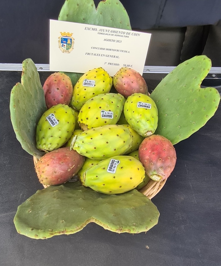 3er premio del Concurso Hortofrutícola del Ayuntamiento de Coín, agosto 2021, junto a la cesta de higos chumbos