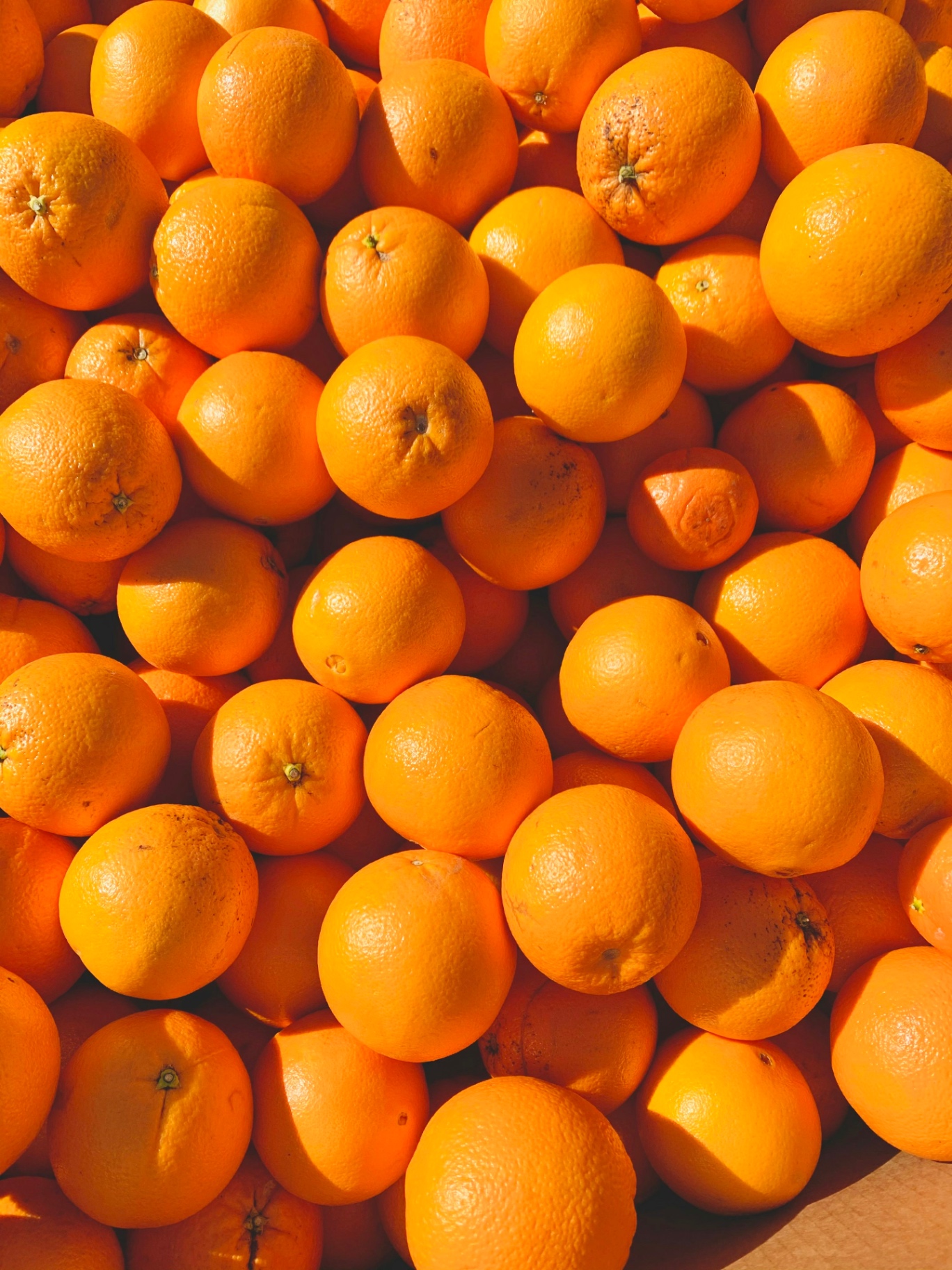 Productos de nuestra tierra